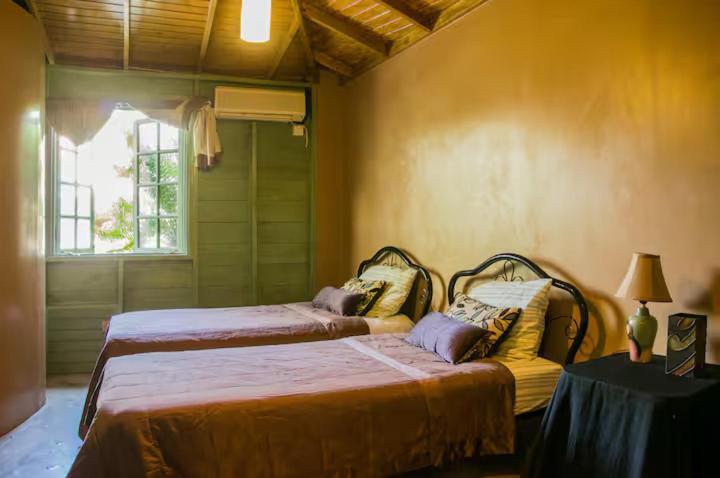 One32 Guesthouse Bejeweled Kingston Ngoại thất bức ảnh